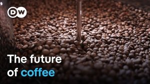 How climate change threatens coffee production