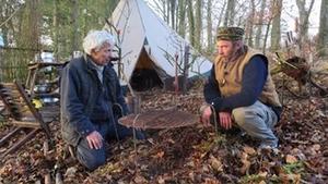 Et rådyr i Store Vildmose