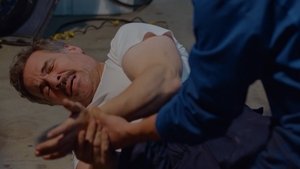 Episode 286