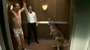 Stuck in an Elevator