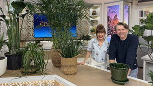 Friday, January 23, 2026