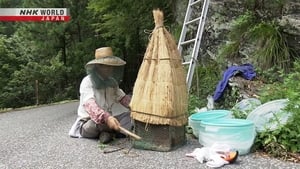 Return to an Abandoned Village: 50 Years in Tsubayama