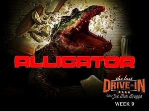 Alligator