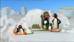 Pingu and the Hose