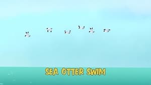 Sea Otter Swim