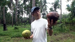 Coconut Entrepreneur Tackling Poverty - Mizui Yu