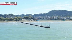 A Quiet Pier in Minamiboso