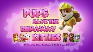 Pups Save the Runaway Kitties