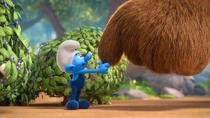 What the Bear Said