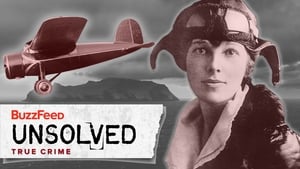 The Odd Vanishing of Amelia Earhart