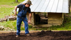 Boom Time for Moonshine