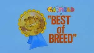 Best of Breed