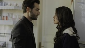 Episode 24