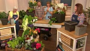 Thursday, May 15, 2025