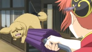 Cat Lovers and Dog Lovers Are Mutually Exclusive