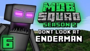 Don't Look At Endermen