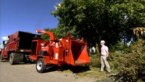 Turf Grass, Beef Jerky, Wood Chippers, Bowling Pins