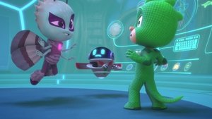 Who Let the Moths In?