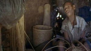 Africa: Voices of the Forest