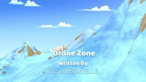 Drone Zone