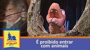 É Proibido Entrar com Animais