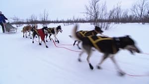 Lars in Finnmarksloepet