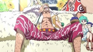 A Mastermind Underground! Doflamingo Makes His Move!