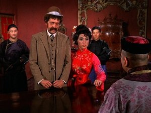 The Night of the Camera