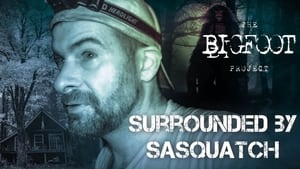 Surrounded by Sasquatch