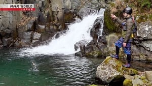 Fly-Fishing in a Secluded Mountain Stream in Jozankei