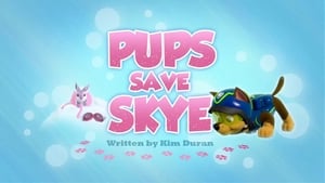 Pups Save Skye