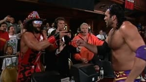 Raw - May 17, 1993