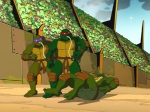 Turtles in Space (4): The Arena