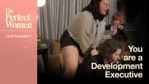 You are a Development Executive