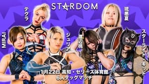 Stardom Matsumoto Day Clinic 15th Anniversary