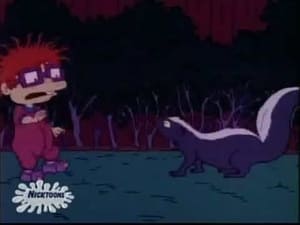 Chuckie Gets Skunked