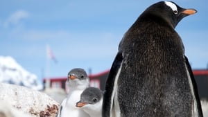 Penguin Post Office