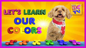 Learn Colors with Lizzy the Dog