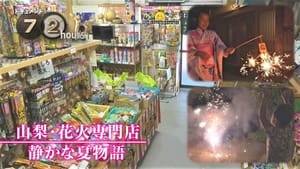 Fireworks Shop: Lighting Up a Quiet Summer