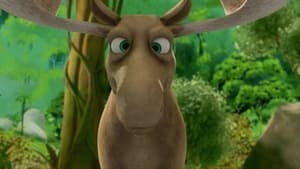 Curse of the Cross Eyed Moose