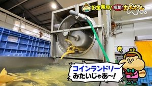 Episode 229