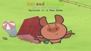 A New Home