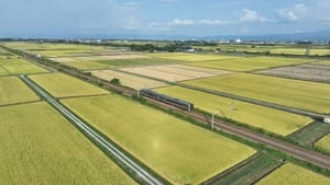 Rice and Sake from Niigata to Yamagata