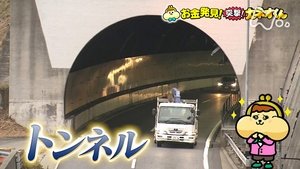 Episode 236