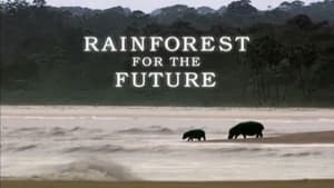 Rainforests for the Future