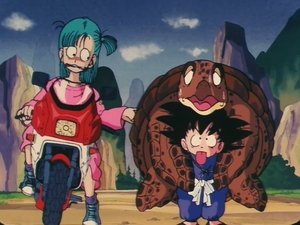 The Nimbus Cloud of Roshi