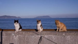 Okayama: A View of the Seto Inland Sea