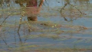 Stalked On The Savannah (Part 2)