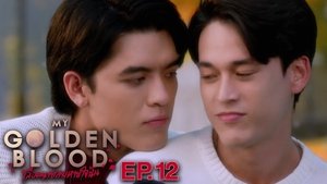 Episode 12