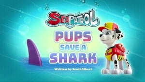 Sea Patrol: Pups Save a Shark